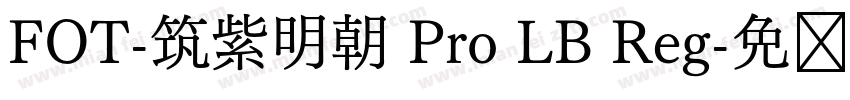 FOT-筑紫明朝 Pro LB Reg字体转换